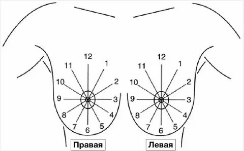 Точки на сосках у женщин