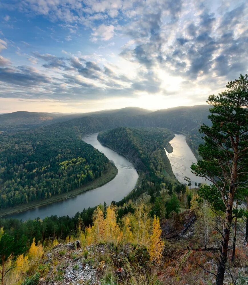 Красноярский край фото. Река Мана Манская петля. Манская петля Красноярский край река. Манская петля Красноярск. Река Мана Красноярск.