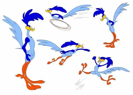 Road runner