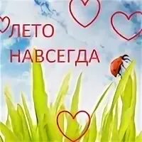 После лета навсегда. Лето навсегда. лето навеки. лето навсегда картинки. лето навсегда мальцева.