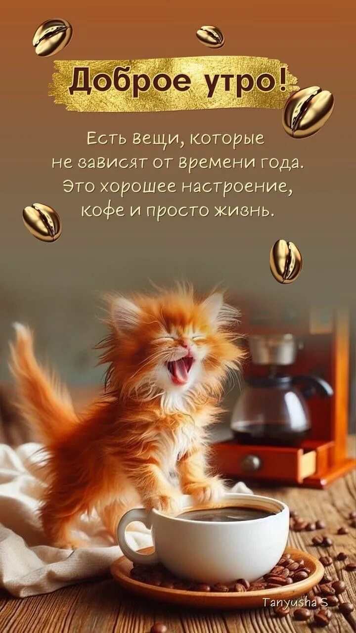 Доброе утро и хорошего дня милые картинки. Доброе утро и хорошего дня милые картинки