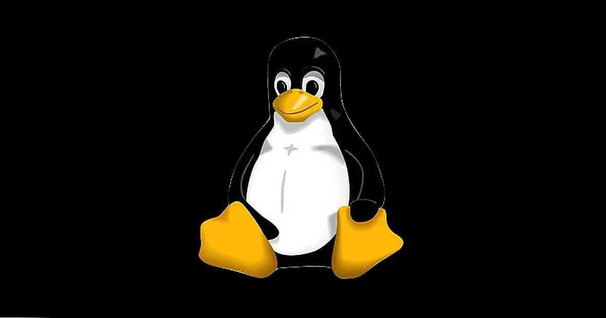 Target linux. Изображения с расширением bmp. пингвин тигр. файлы с расширением jpg. linux.