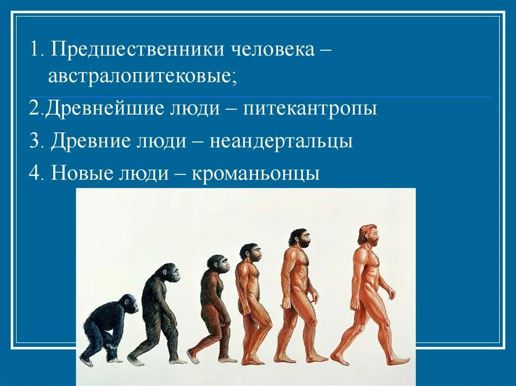 Изоляция антропогенеза. Человек-предшественник. Предшественники человека австралопитековые древнейшие люди. Предшественники человека презентация. Австралопитековые предшественники человека.