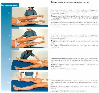 Мышечная сила нижних конечностей