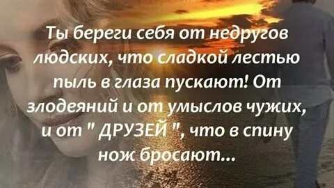 Включи не береги