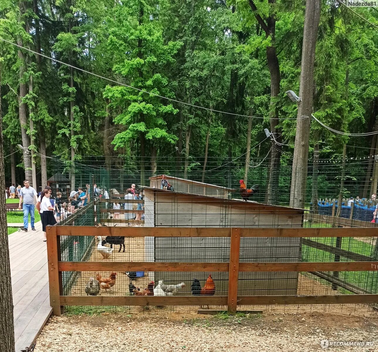 Мещерский парк площадка angry birds. Аутлет белая дача детская комната. Арт вилладж зоопарк. Внуково вилладж зоопарк. Контактный зоопарк внуково вилладж.