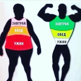Завтрак обед ужин