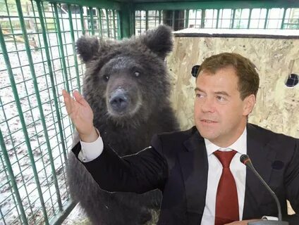Россияне понимаешь