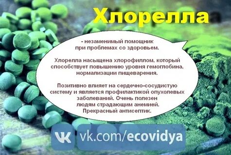 Полезные свойства спирулины и хлореллы
