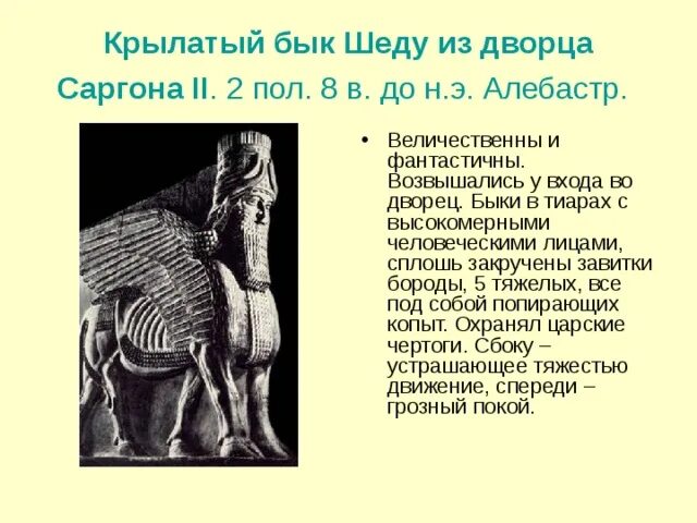 Крылатый бык. Шеду из дворца Саргона 2. Крылатые быки Шеду из дворца Саргона 2. Быки Шеду из дворца Саргона. Крылатый бык Шеду из дворца Саргона II. 2 Пол. VIII В. до н.э..