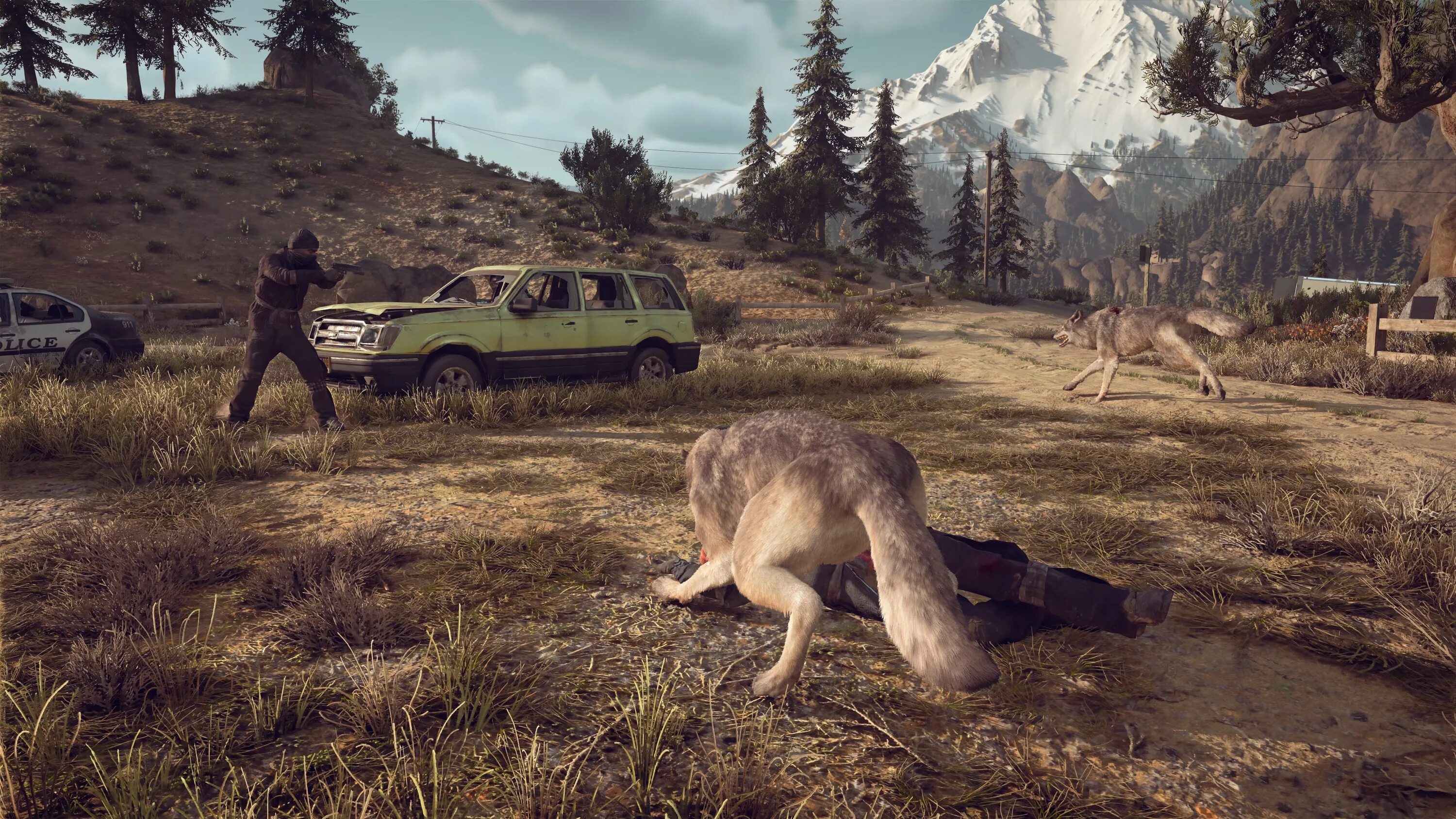 Days gone. Игра Days gone.