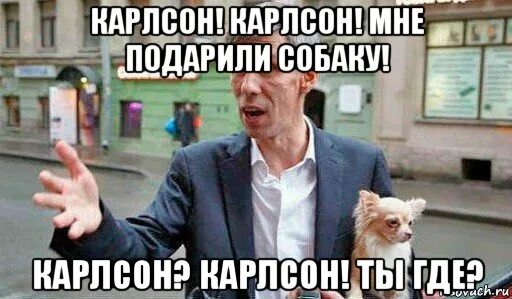 Панини собака