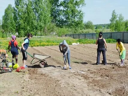 Работы на даче в апреле