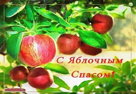 Смс с яблочным спасом и преображением господним