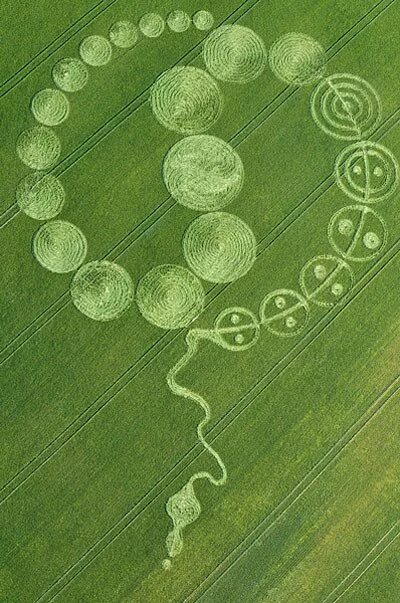 Знаки на полях в русском языке. Круги на полях 2023. Пиктограмма круги на полях. Круги на полях инопланетяне.