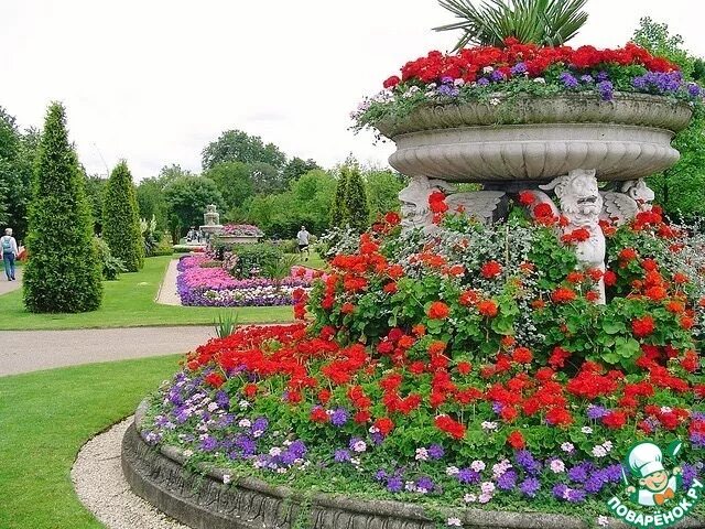Pin on Hogar Garden projects, Garden organization, Garden yard ideas