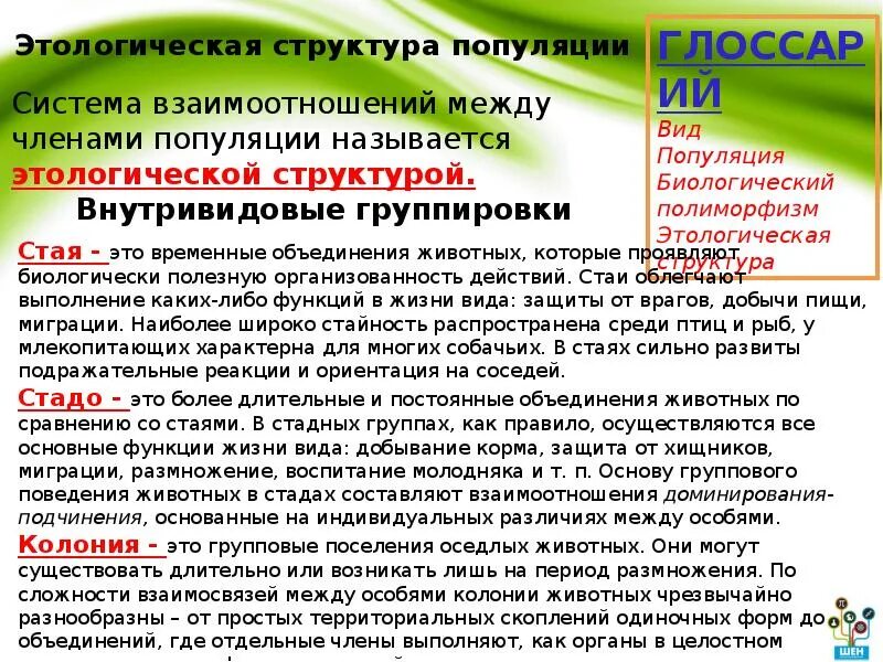 Социальная структура популяции. Этологическая структура популяции. Этнологическая структура популяции. Энтомологическая структура популяции. Этималогическая структура популяций.
