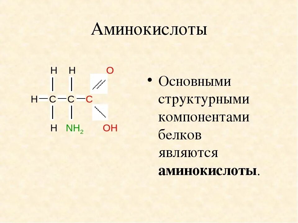 Белок из аминокислот. Аминокислоты. Общее строение аминокислот. Белки аминокислоты. Канонические аминокислоты.