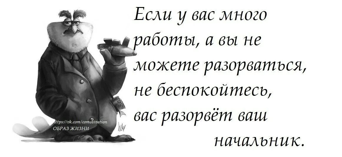 Руководитель сказал. Высказывания про работу. Высказывания про начальство. Цитаты про начальника. Афоризмы про начальника.