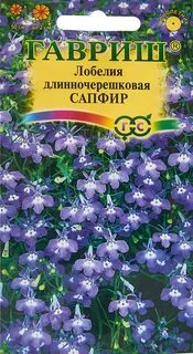 Лобелия регата сапфир отзывы
