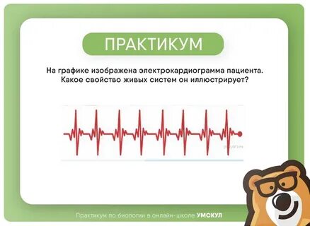 Какое свойство систем иллюстрирует данный процесс