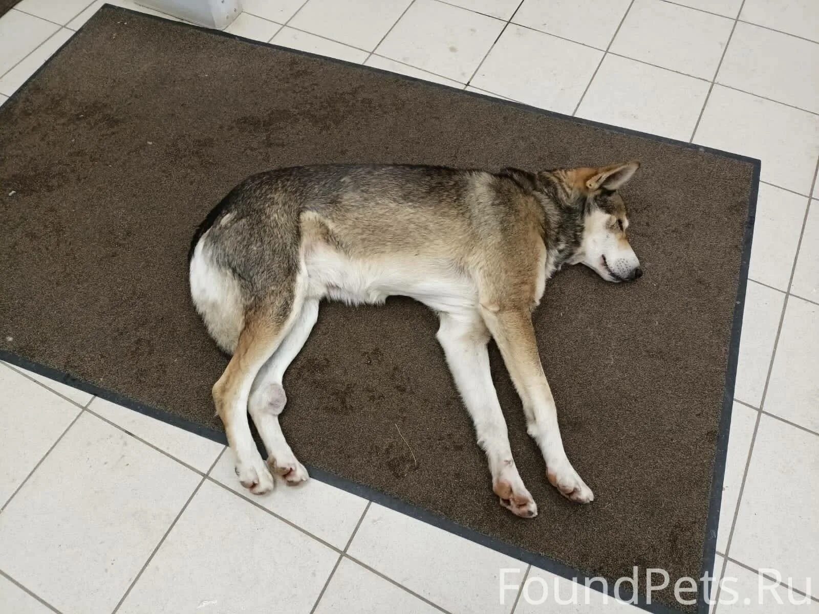 Белеть форум