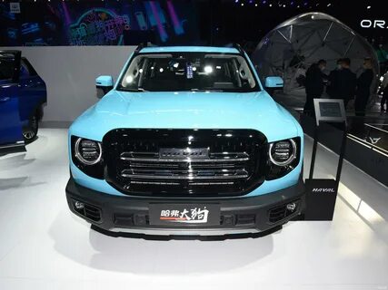 Haval big dog
