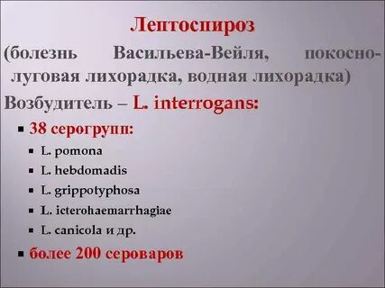 Водная лихорадка