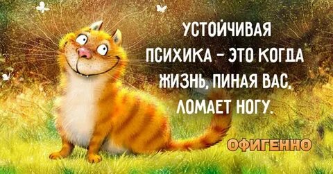 Прошел веселый жизни