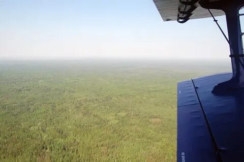 Под крылом самолета зеленое море тайги