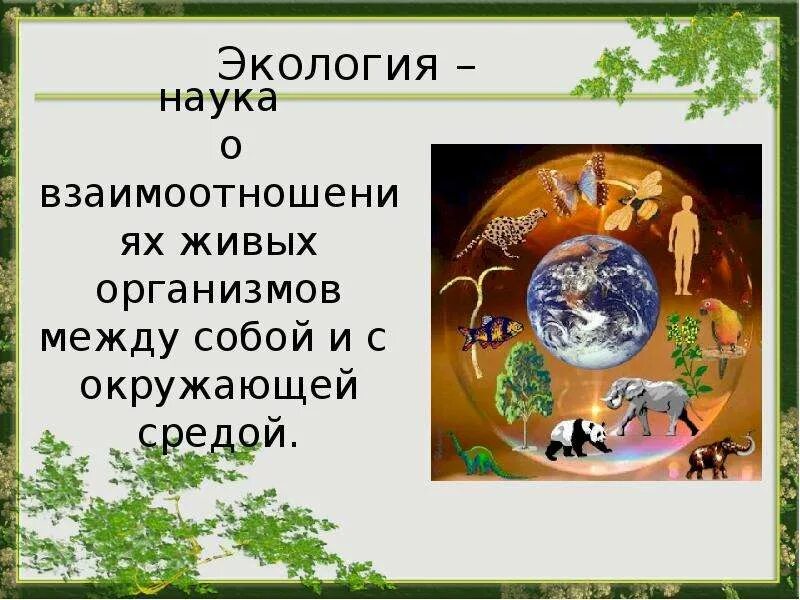 Экология это наука. Экология презентация. Презентация на экологическую тему. Экология определение. Наука изучающая отношение организмов между собой