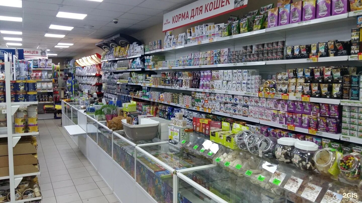 большой зоомагазин. зоомагазин с животными спб. самый крупный зоомагазин в москве. стол в зоомагазин. огромный зоомагазин с животными.