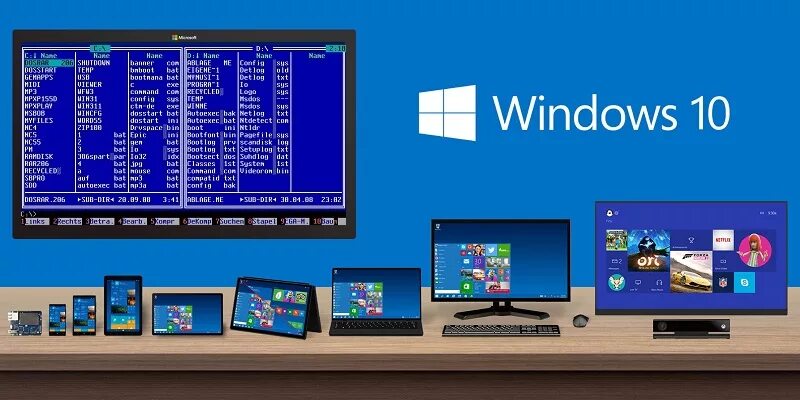 Dos win cve 2025 31166 a. Dos win cve 2025 31166 a