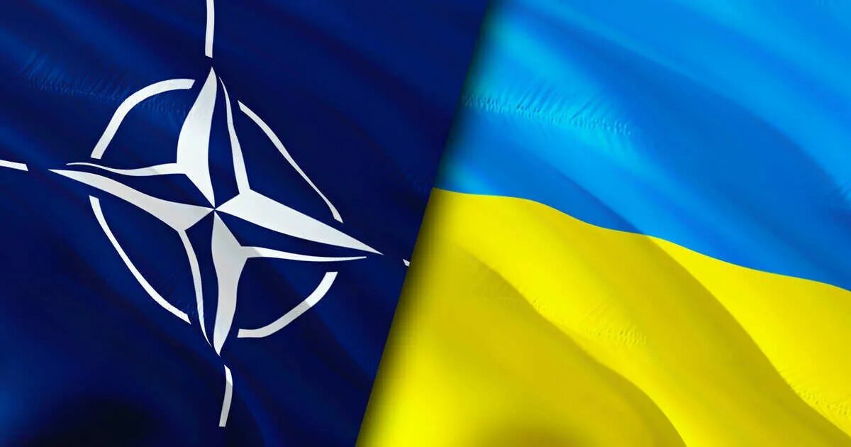 Флаг Украины и НАТО. Флаг Украины ЕС НАТО. США НАТО Украина флаги. Флаг украинского НАТО. Нато поддержали украину