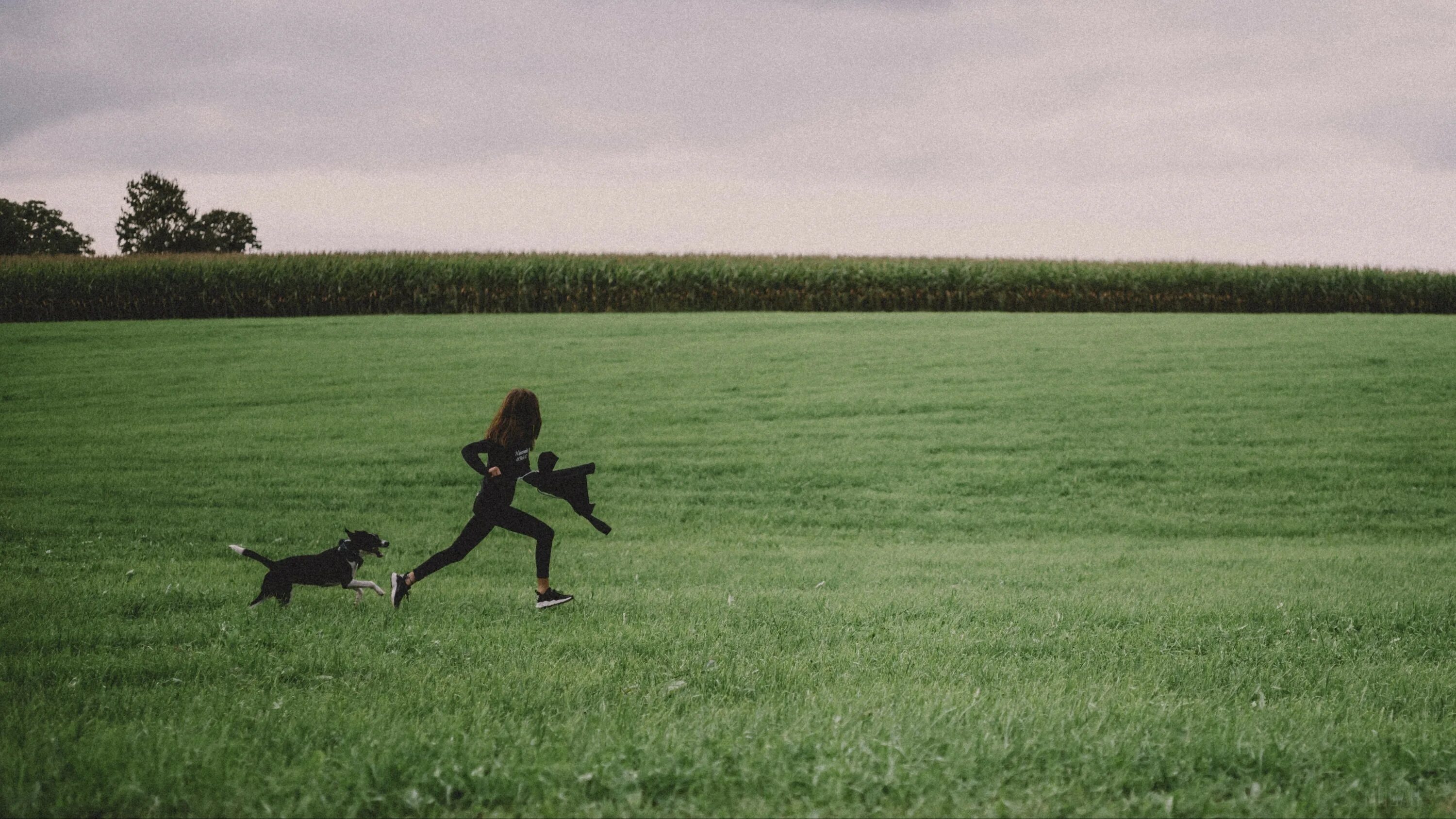Фотосессия в поле с соба. Собака бежит в поле. Человек и собака в поле. Девушка с собакой в поле.