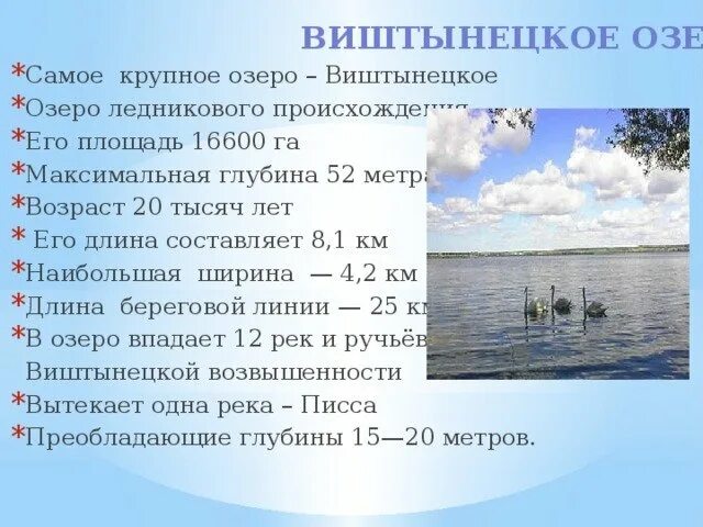 Длина водохранилища на 200 км больше. Виштынецкое озеро Калининградская область. Озеро Виштынец Калининградская область глубина. «Виштынецкое озеро — «Европейский Байкал». Водоёмы Калининградской области.