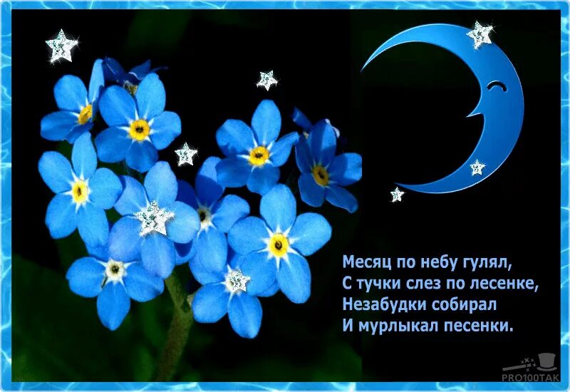 Незабудка со словами. Спокойной ночи незабудки. Доброй ночи незабудки. Красивые незабудки. Незабудка надпись.