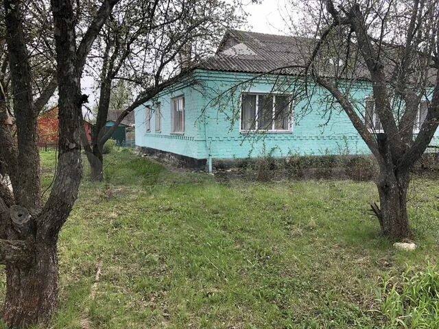 Село фомино негачевка. Фомино негачевка. Погода в фомино негачевке липецкой. Погода в фомино негачевке липецкой. Погода в фомино негачевке липецкой.