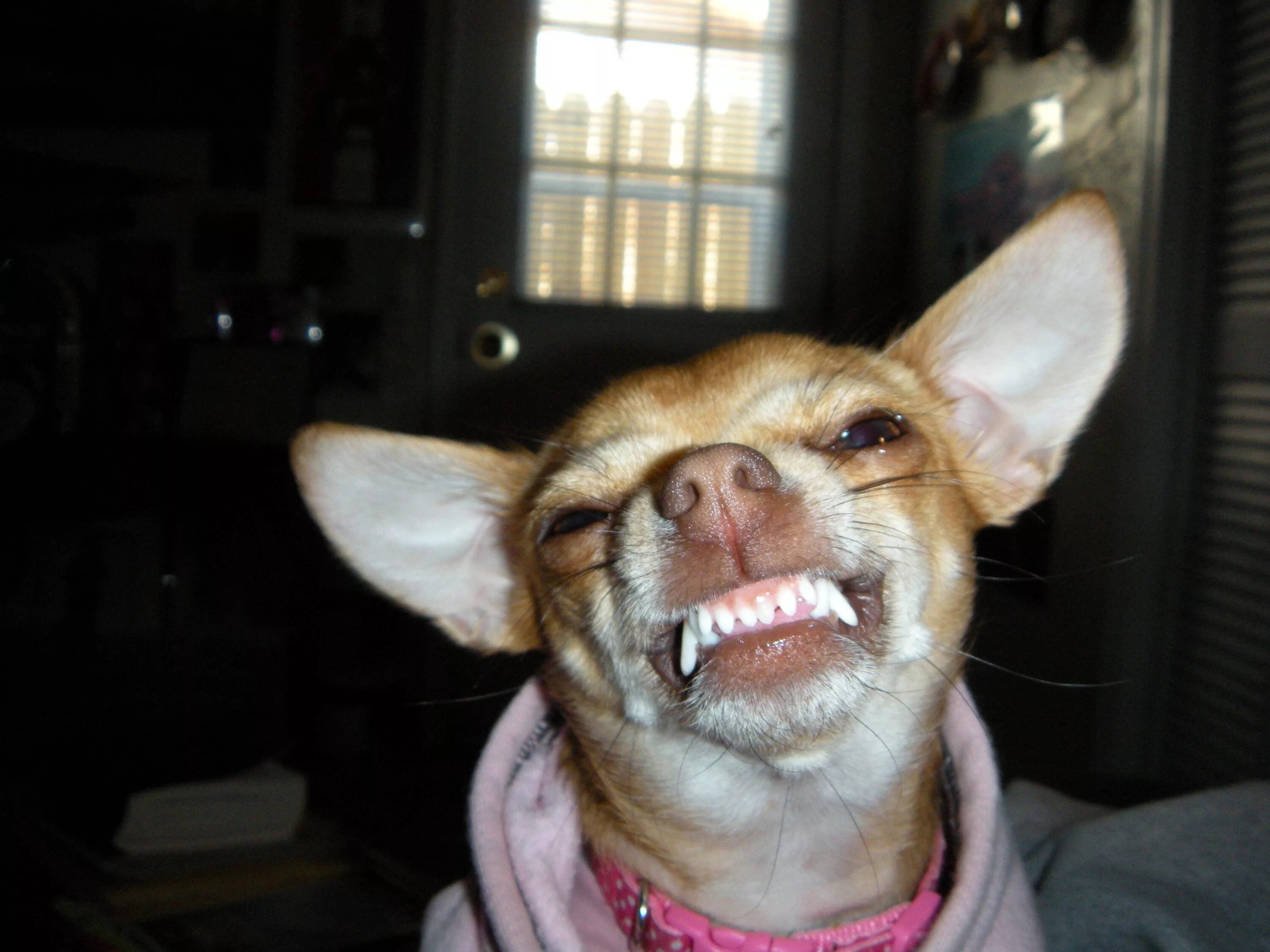 "Nahhhh! You like this smile better!?" rePinned by CamerinRoss.com ศ ล ป ะ