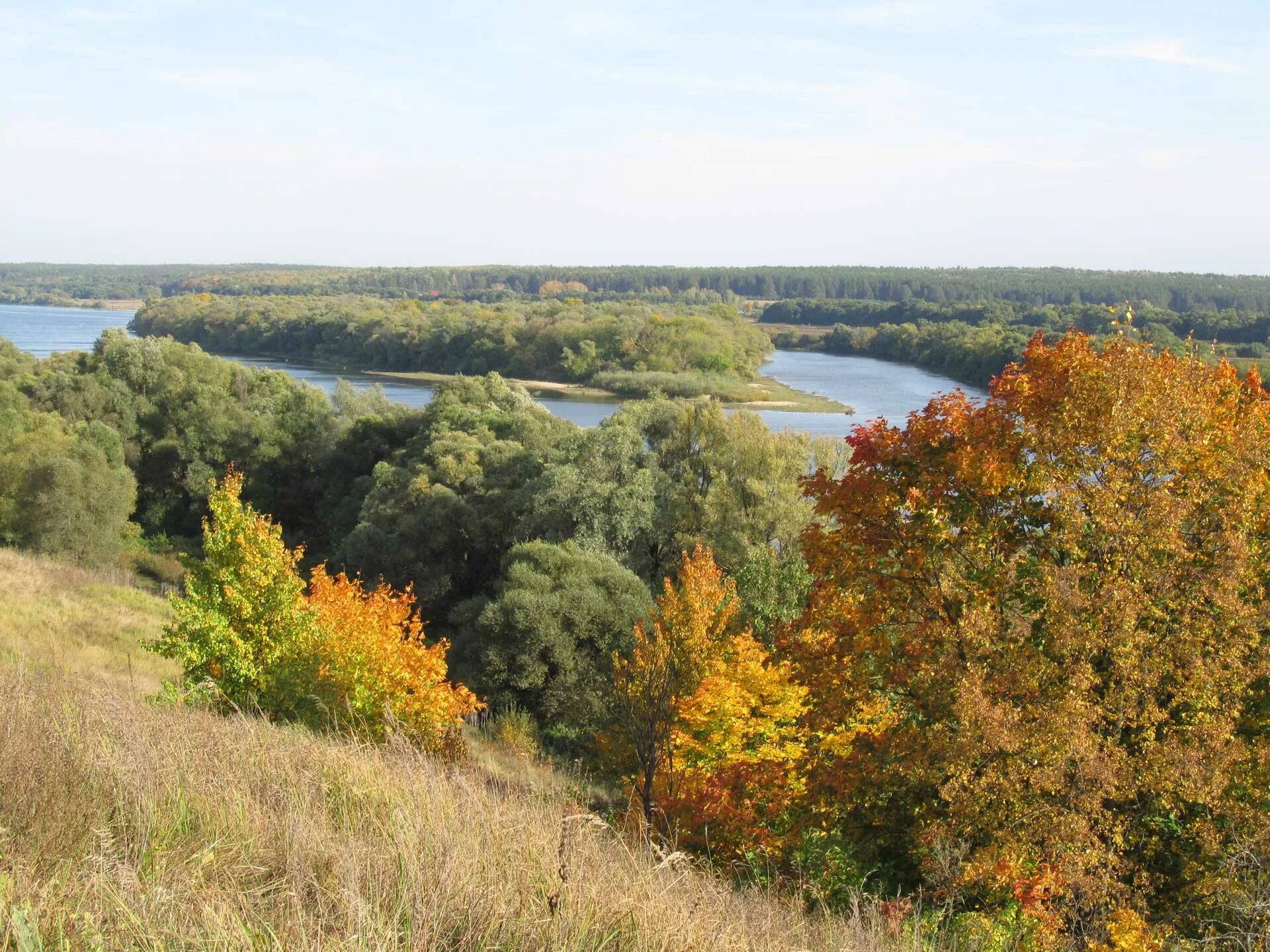Колодези озеры. Село белый колодезь. белые колодези река ока. белые колодези московская область.