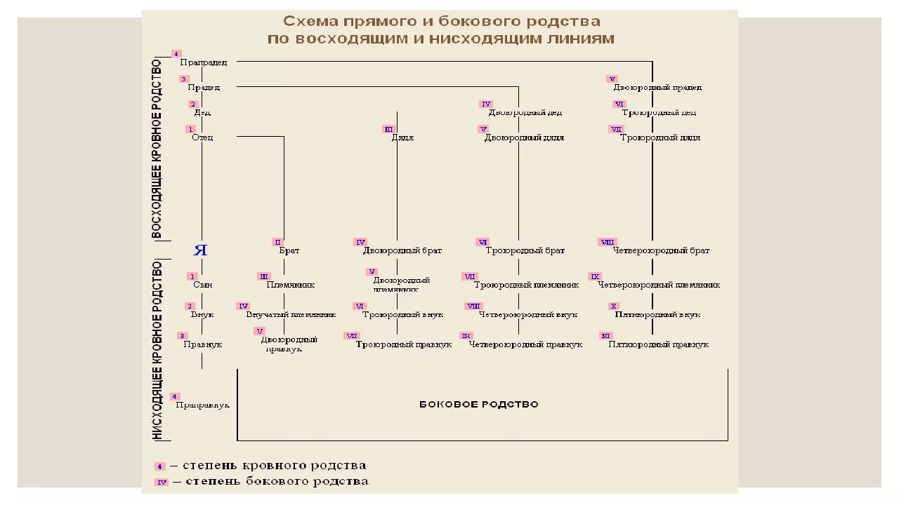 Степень родства супруги. Схема родства двоюродные троюродные. Троюродный брат схема родства. Степени родства схема. Схема родственных связей.