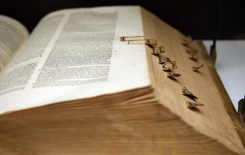 Как сделать книжника