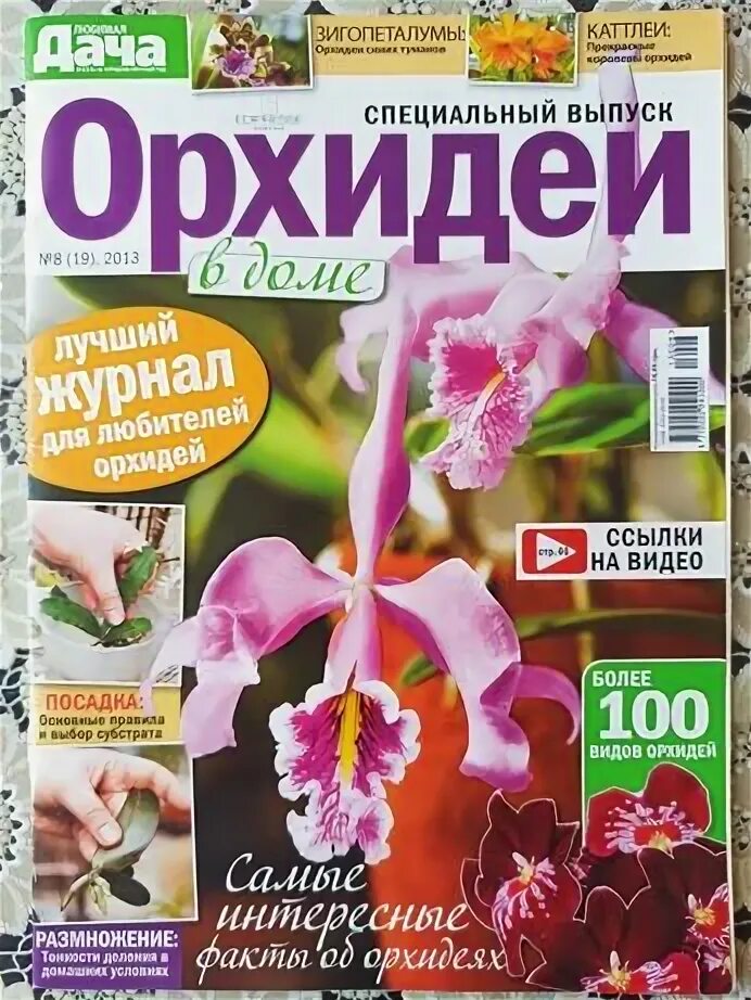 Орхидеи читать. Орхидеи читать