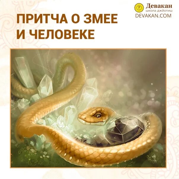 Притча о змее и старце. Притча о змее и старце