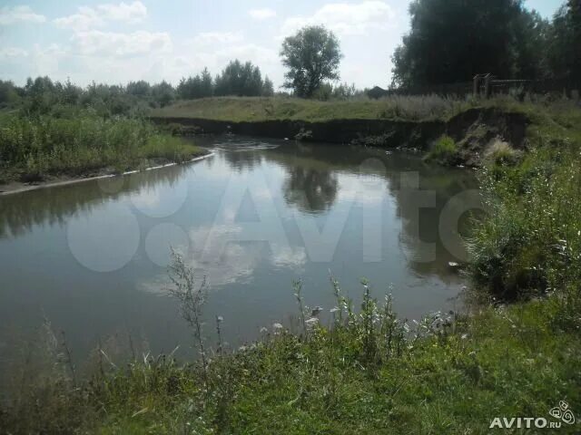 фотоконкурс ко дню города Барнаула проводит ИА "Амител"