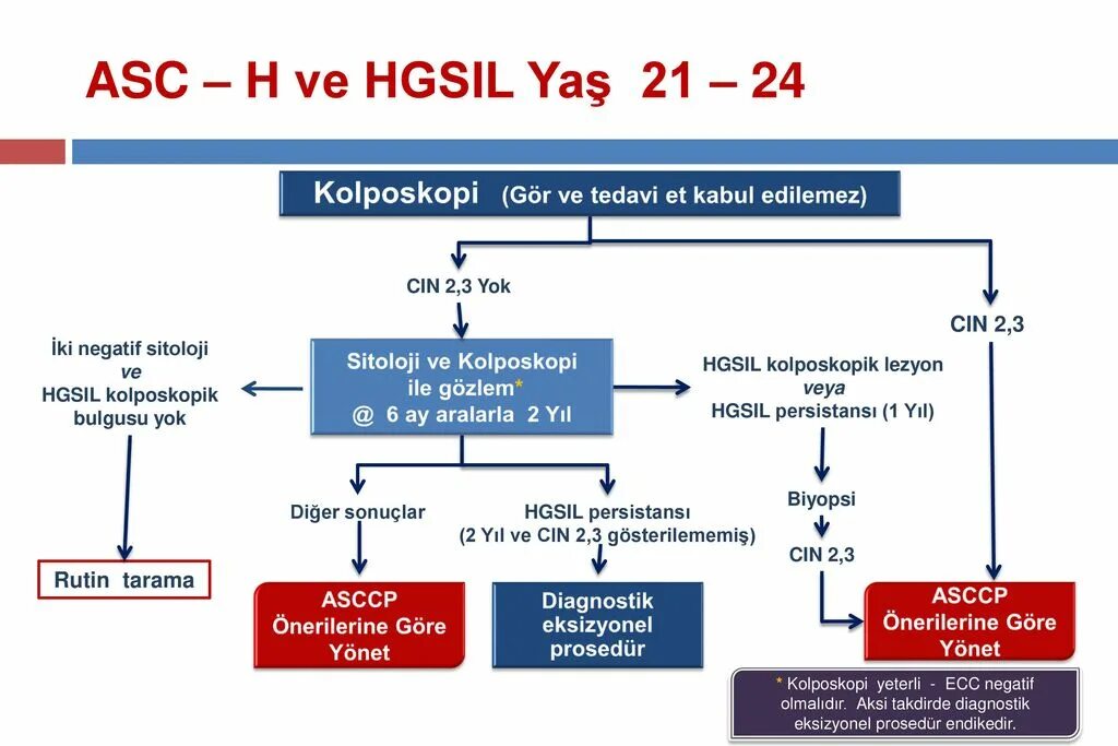 ASC-H. ASC H В цитологическом анализе. ASC-H цитология расшифровка. ASC-H цитология тактика. Forums h