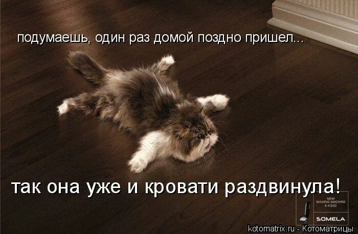 собачье сердце швондер. собачье сердце швондер и профессор. приходи научим. мем военком автомат. научишься приходи.