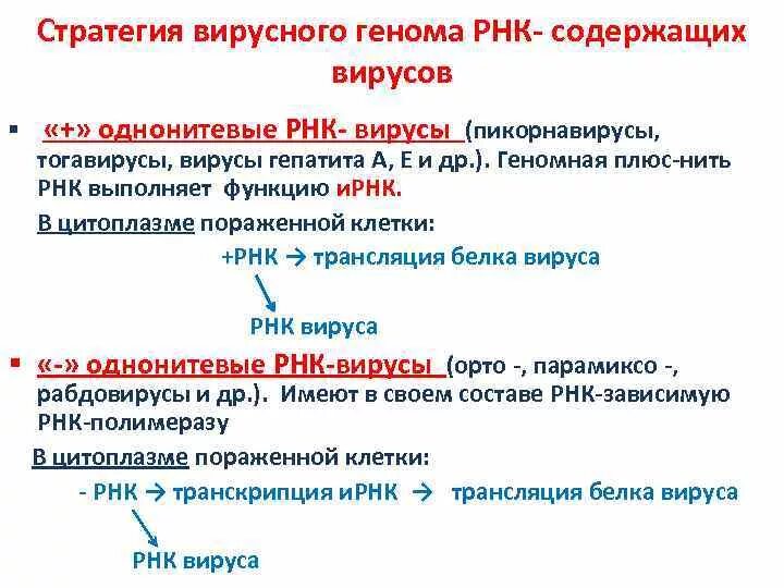 Рнк геномные вирусы. РНК-содержащие вирусы, стратегия геномов. Плюс нитевая РНК вируса. +РНК И -РНК вирусы. Плюс и минус РНК вирусы.