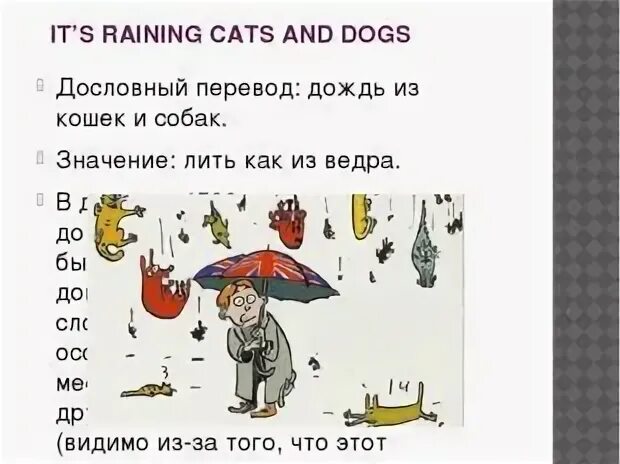 Raining перевести. Идиома it's raining Cats and Dogs. It's raining Cats and Dogs перевод. Raining Cats and Dogs перевод. Rain Cats and Dogs идиома.