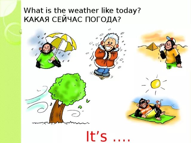 What is the weather like. Spotlight 2 погода. Задание на тему what the weather like?. What the weather like today. Спотлайт 2 погода